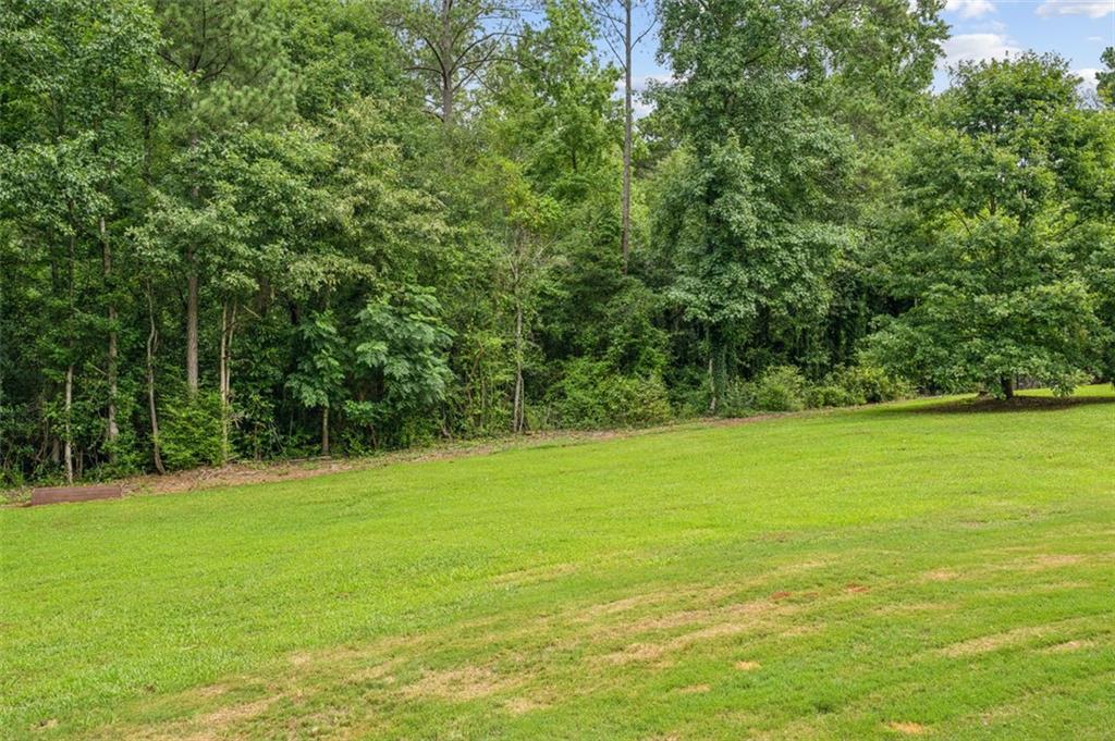21 Willow Woods Road Social Circle, GA 30025 - Photo 28 of 49 a view of a field with an trees