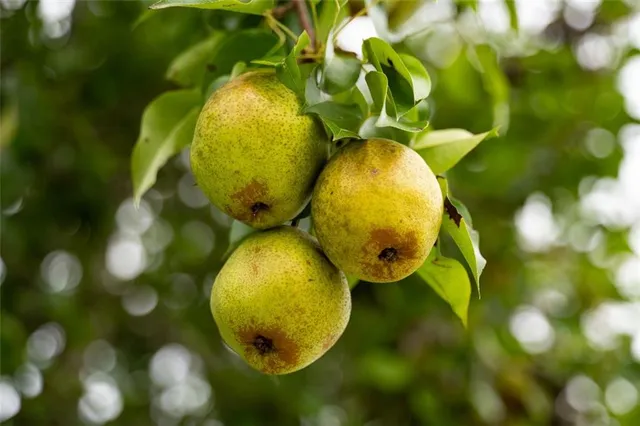a view of a golf course with a lake