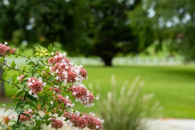 a sunset view with a lake