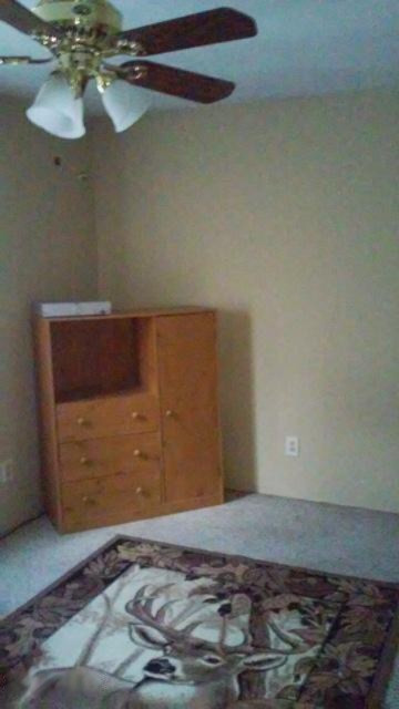 5513 River Road Evart, MI 49631 - Photo 8 of 23 20160729_074228