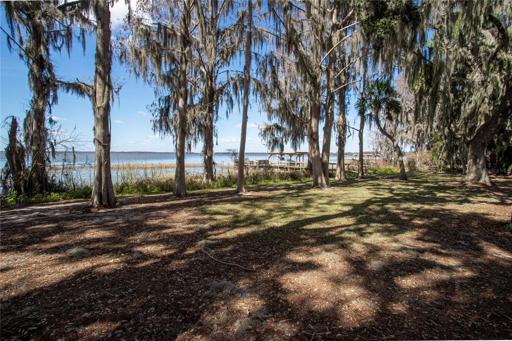 31035 Cove Road Tavares, FL 32778 - Photo 4 of 13