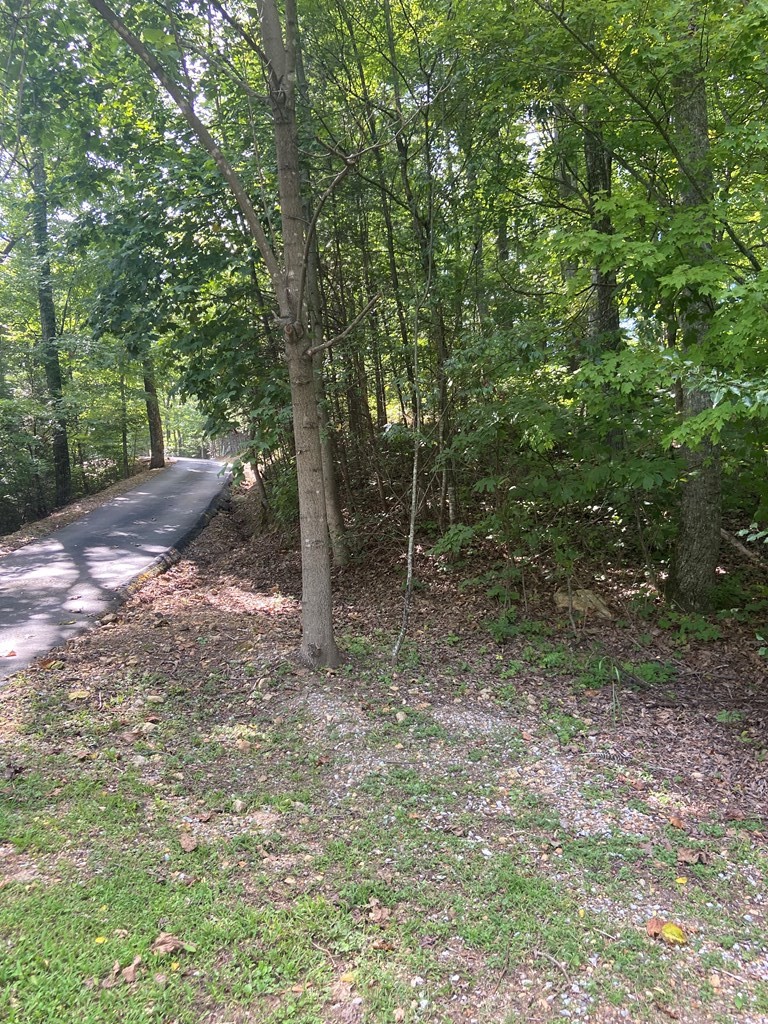0 Redtail Road Sevierville, TN 37862 - Photo 4 of 6