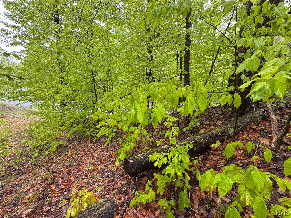 0 Hawkinsville Road Woodgate, NY 13494 - Photo 24 of 27