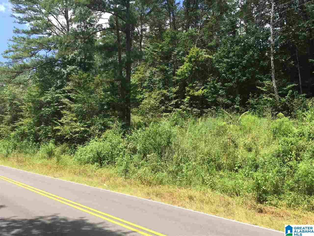 0 Old Springville Road, Unit 2 Pinson, AL 35126 - Photo 7 of 8