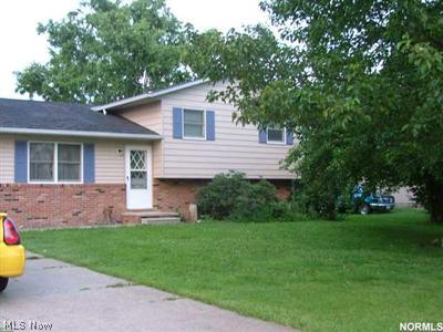 9157 Root Road North Ridgeville, OH 44039 - Photo 1 of 1 Gallery Image 1