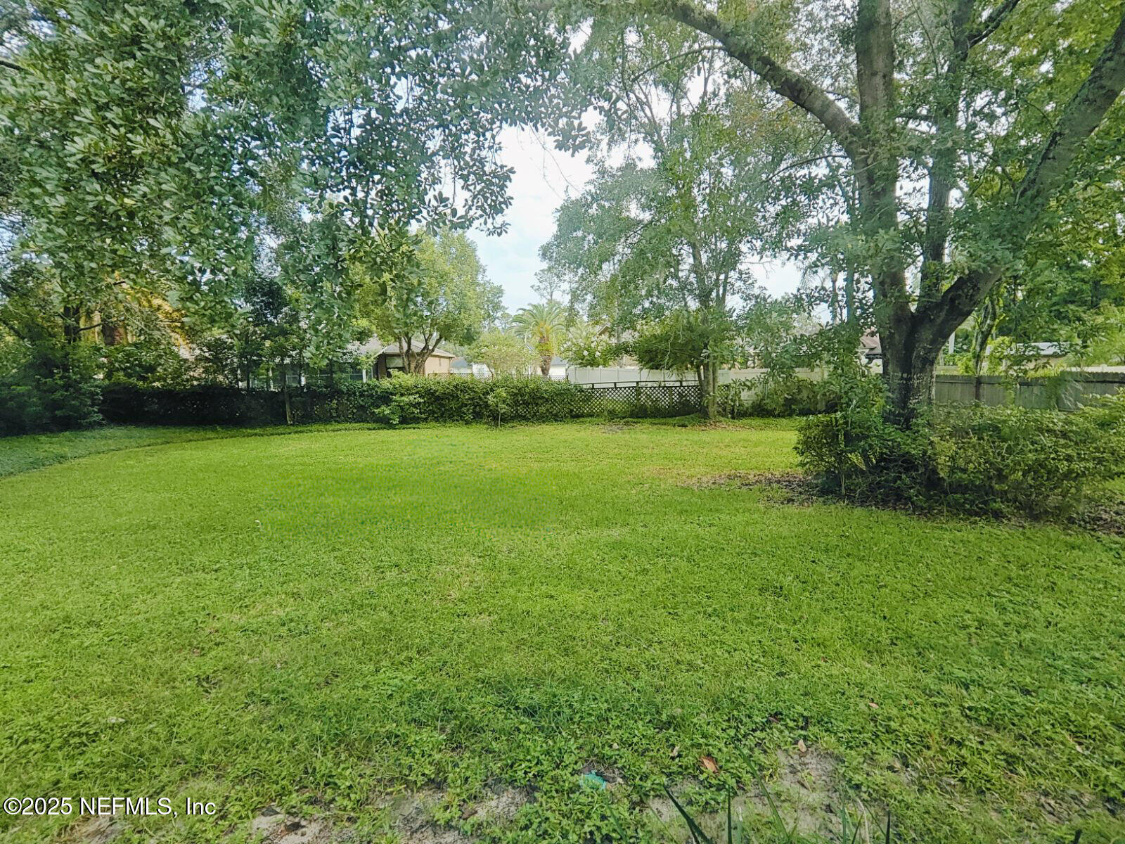 1845 Weston Circle Fleming Island, FL 32003 - Photo 34 of 36 a view of a grassy field with trees in the background