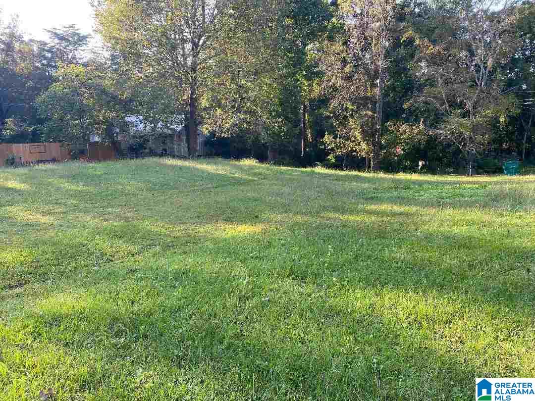 337 Grove Street, Unit 1 Springville, AL 35146 - Photo 1 of 3