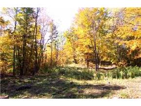 Xx Goose Green Road Off Rte 113 Vershire, VT 05079 - Photo 3 of 4