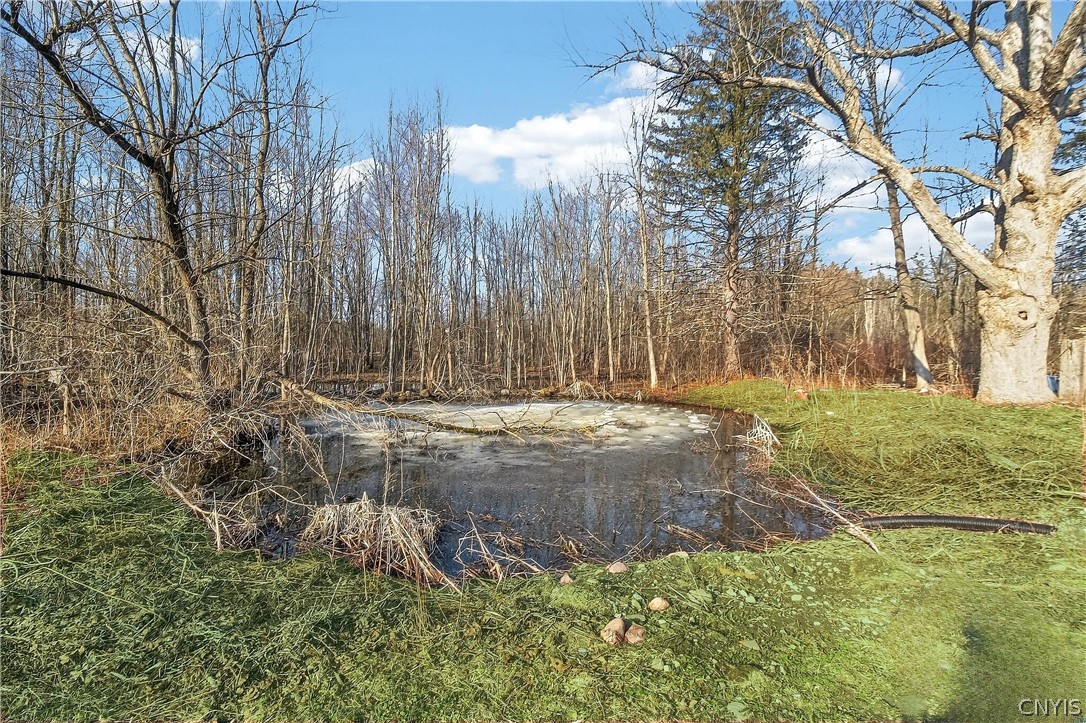 6637 Dix Road Westmoreland, NY 13440 - Photo 34 of 35