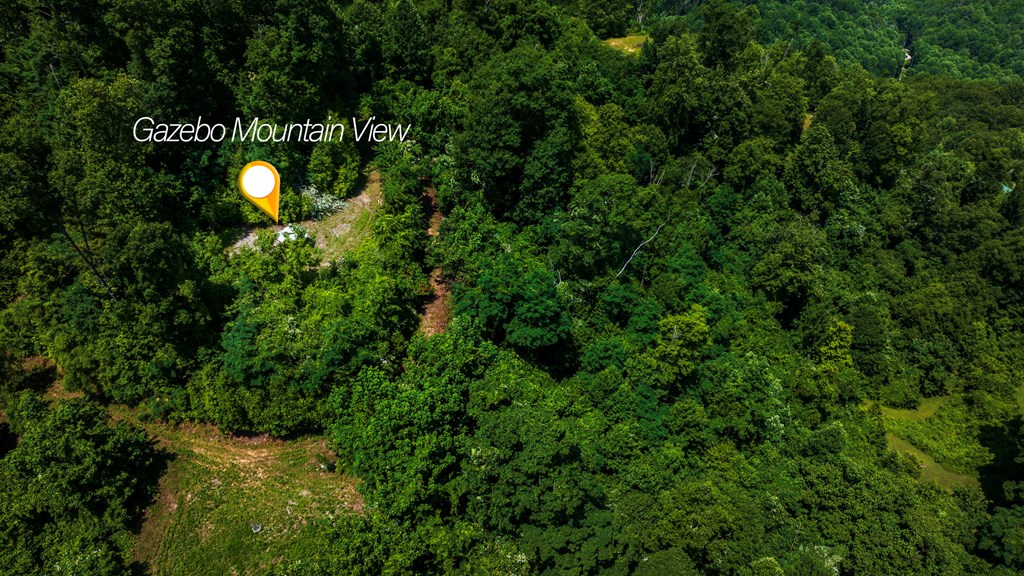 235 Rios Drive Bryson City, NC 28713 - Photo 28 of 29