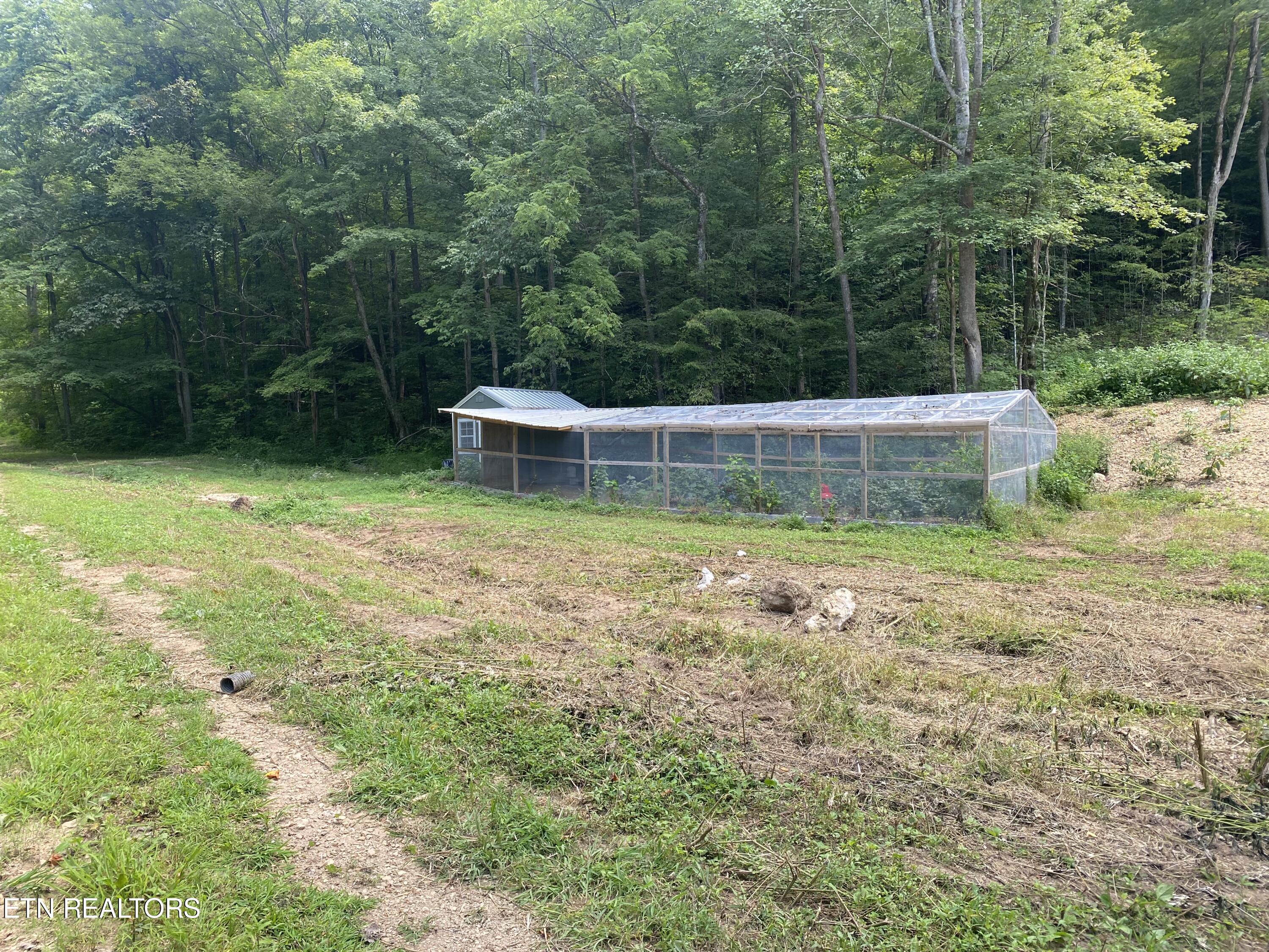 1088 Jones Ridge Road Speedwell, TN 37870 - Photo 46 of 53 IMG_0755