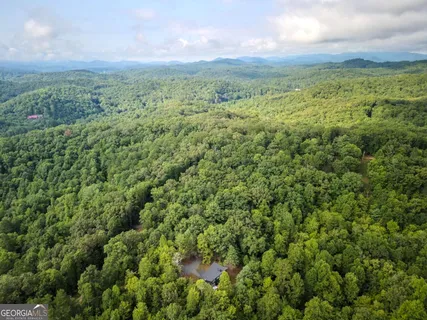 a view of a field with an trees