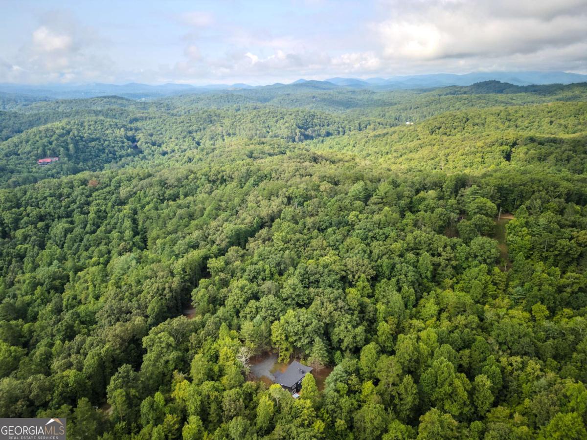 1421 Kelly Ridge Drive, Unit 28 Blue Ridge, GA 30513 - Photo 29 of 39 a view of a green field with lots of bushes