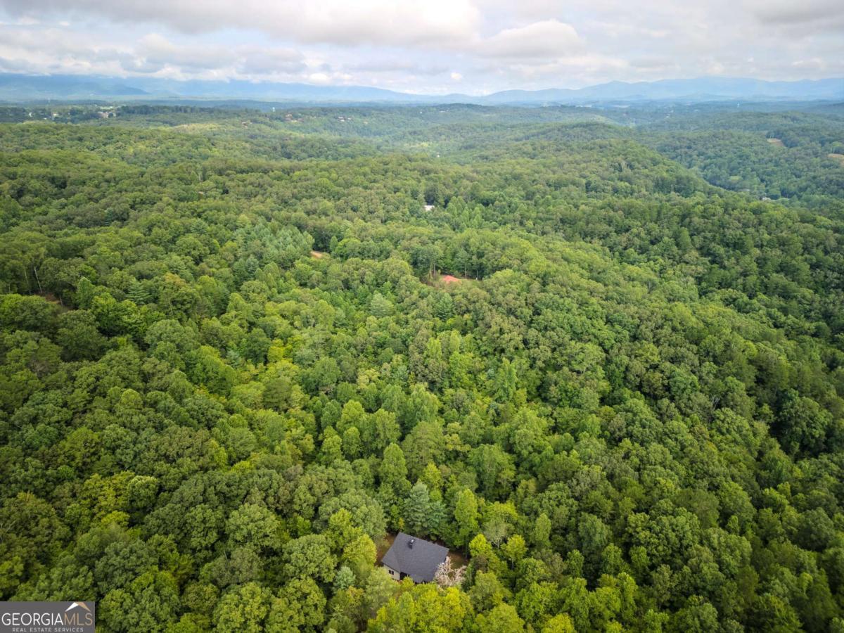1421 Kelly Ridge Drive, Unit 28 Blue Ridge, GA 30513 - Photo 30 of 39 a view of a field with an trees