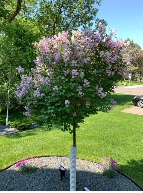 5213 Woodhill Road Minnetonka, MN 55345 - Photo 82 of 88