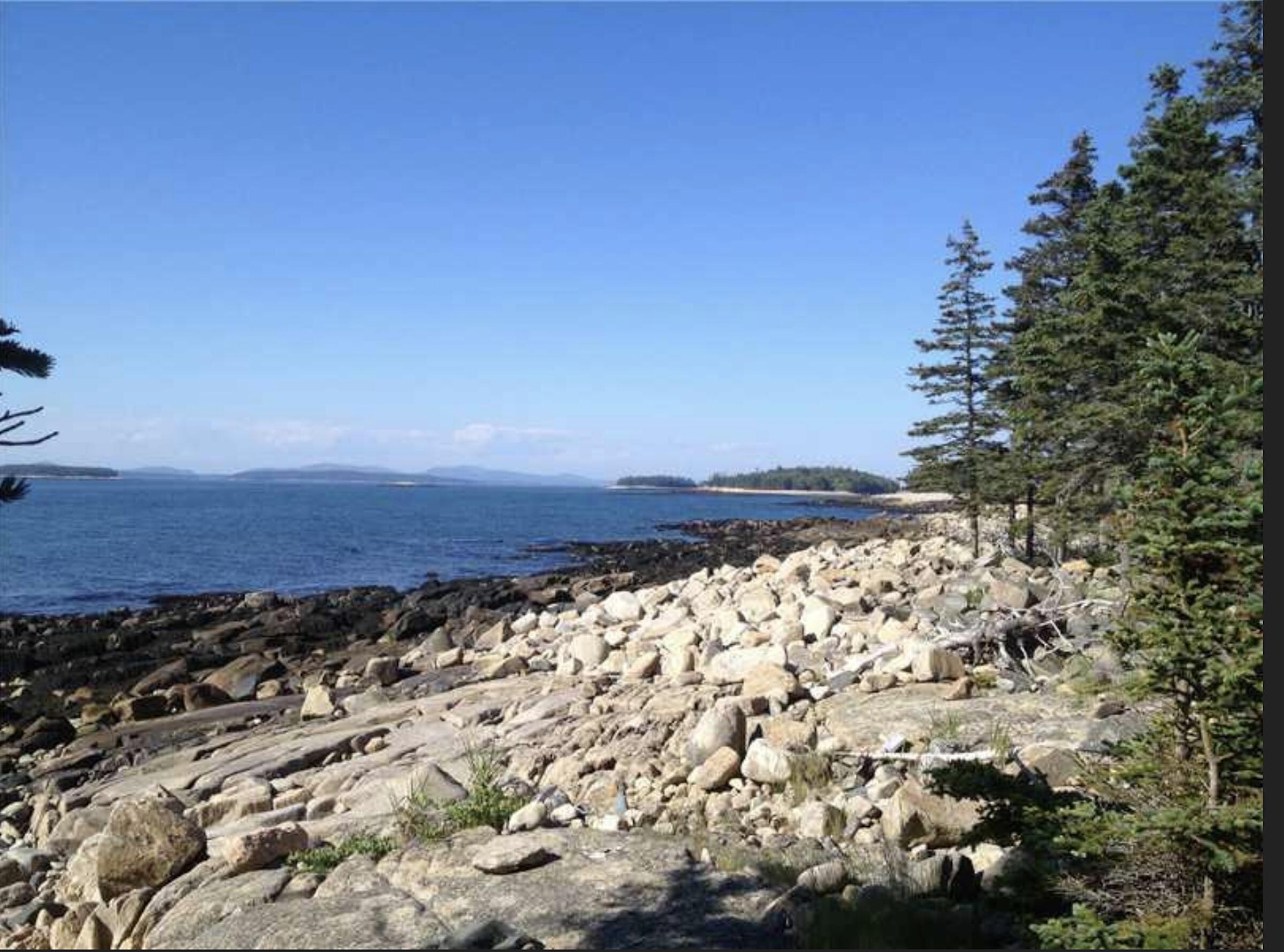 0 Butler Road Frenchboro, ME 04635 - Photo 5 of 22 shoreline
