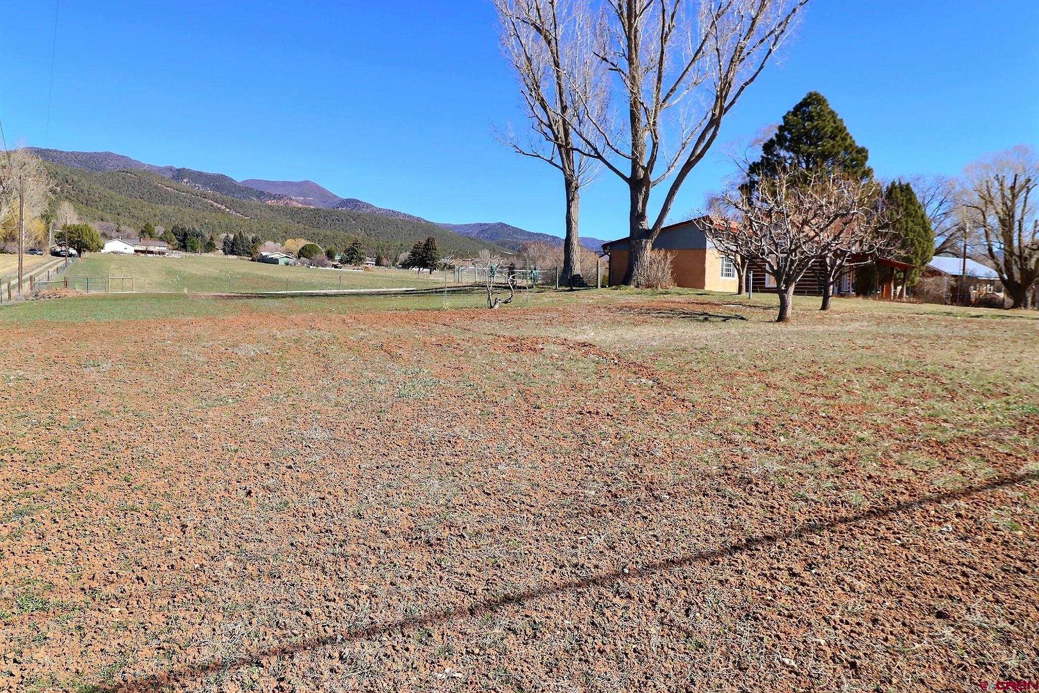 39599 Pitkin Road Paonia, CO 81428 - Photo 40 of 43 a view of large trees with a yard