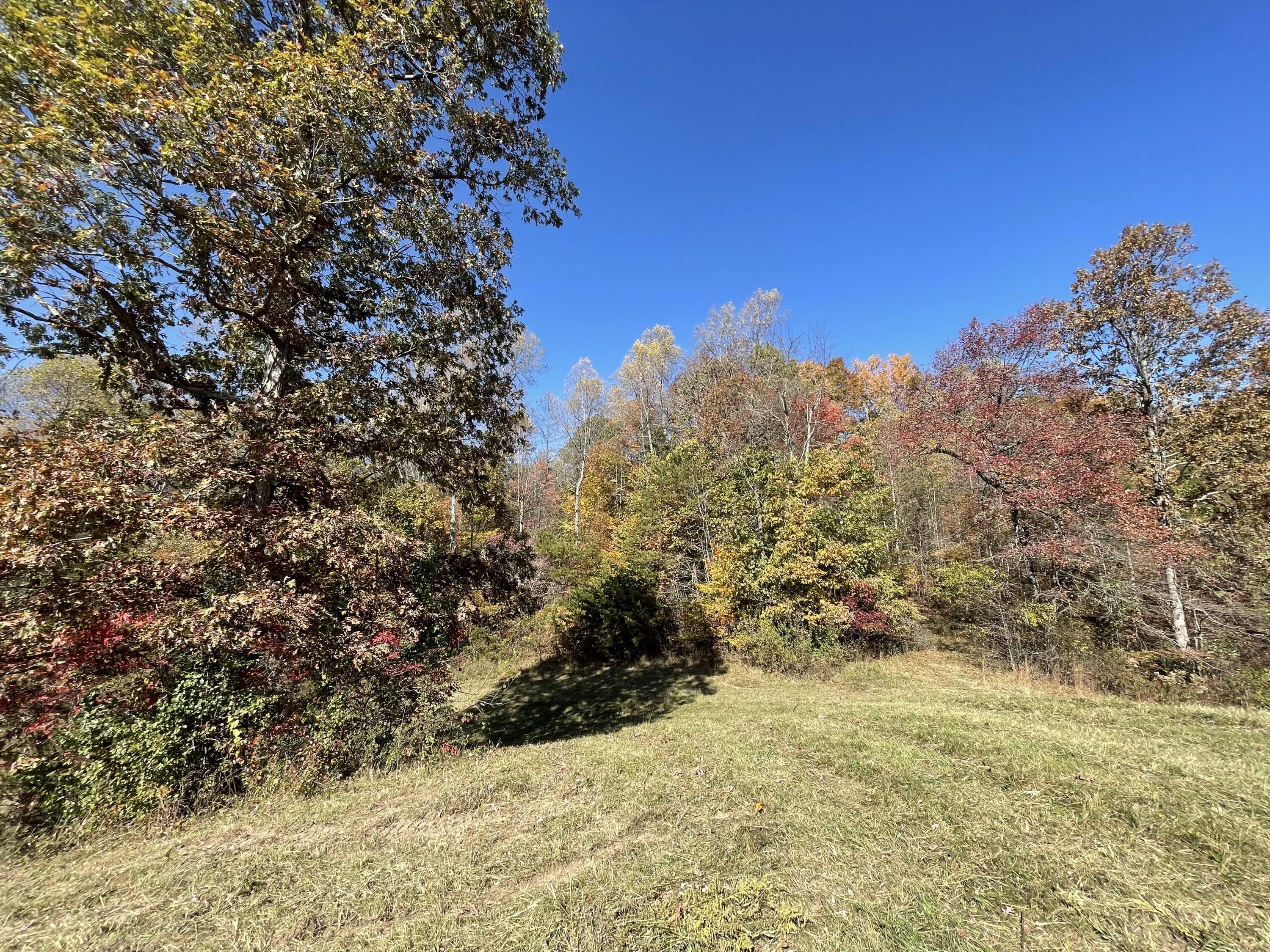 9999 Burnett Road London, KY 40744 - Photo 33 of 44 IMG_4227