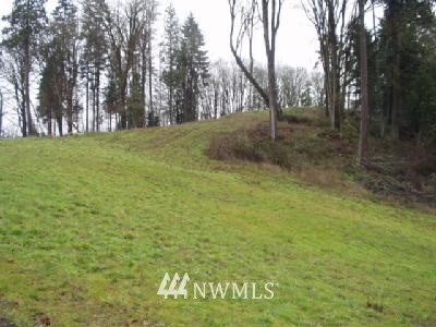 256 Golden Eagle Road Kelso, WA 98626 - Photo 1 of 1 Gallery Image 1
