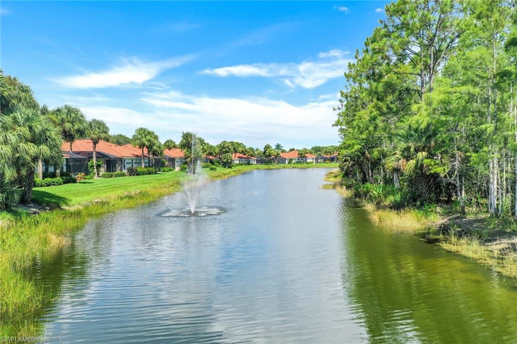 10215 Cape Roman Road, Unit 101 Estero, FL 34135 - Photo 26 of 50 a view of a lake with houses in the back