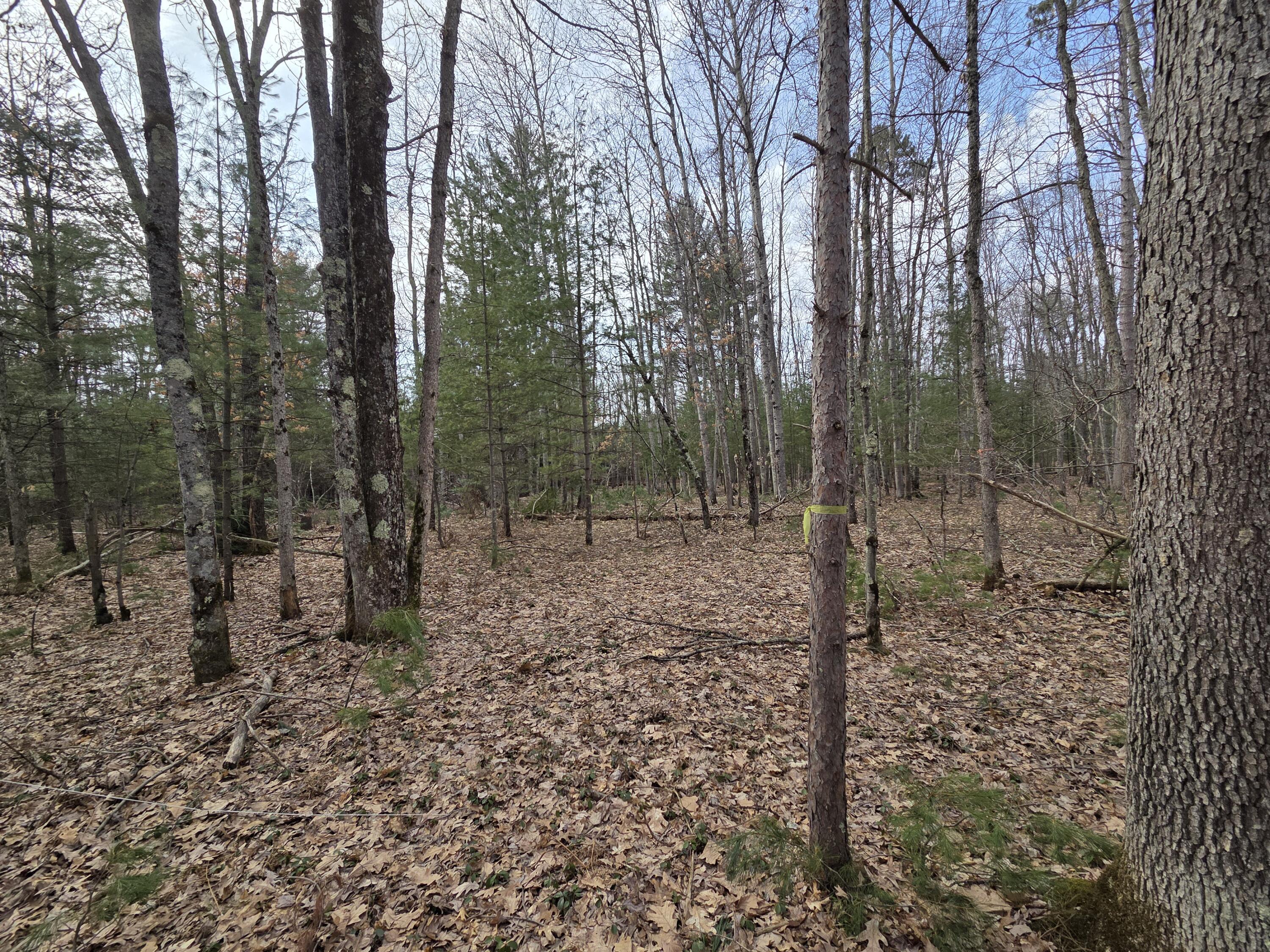 0 6 6 Mile Road Irons, MI 49644 - Photo 16 of 38 20260330_163917