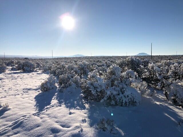100-tl Cemetery Road Christmas Valley, OR 97641 - Photo 6 of 11 View 13