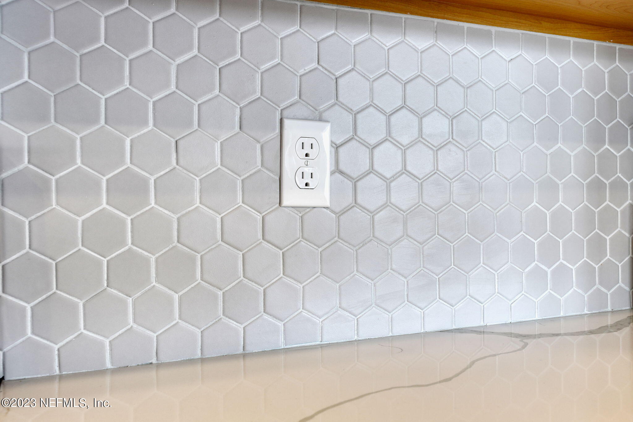 427 Falcon Ridge Road St. Augustine, FL 32084 - Photo 13 of 45