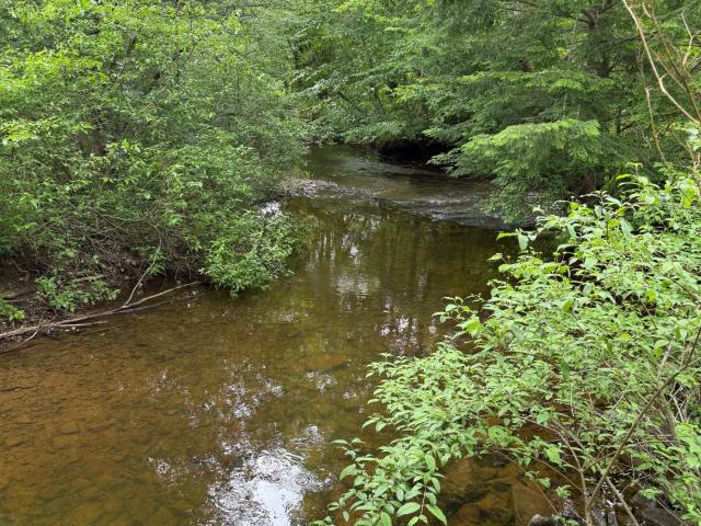 184 Fork Run Road Sheffield, PA 16347 - Photo 19 of 21 Gallery Image 19