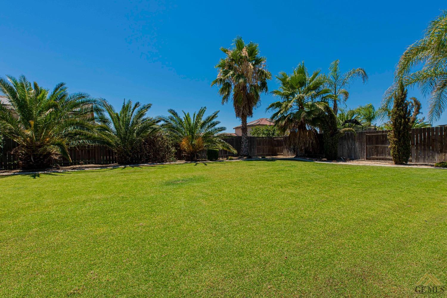Undisclosed Address Bakersfield, CA 93314 - Photo 49 of 49 a front view of house with yard and palm tree