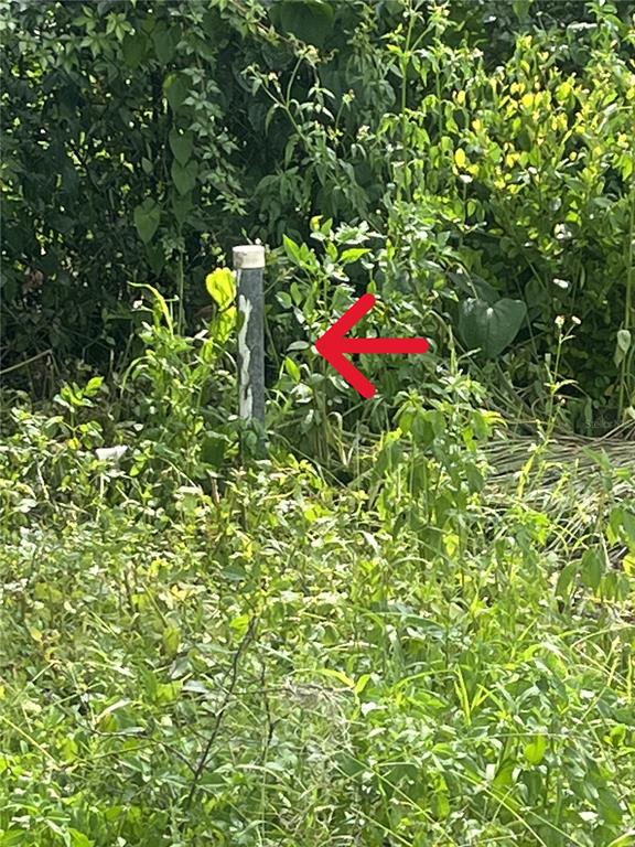 9315 Kissimmee Street New Port Richey, FL 34654 - Photo 2 of 2 a view of a garage