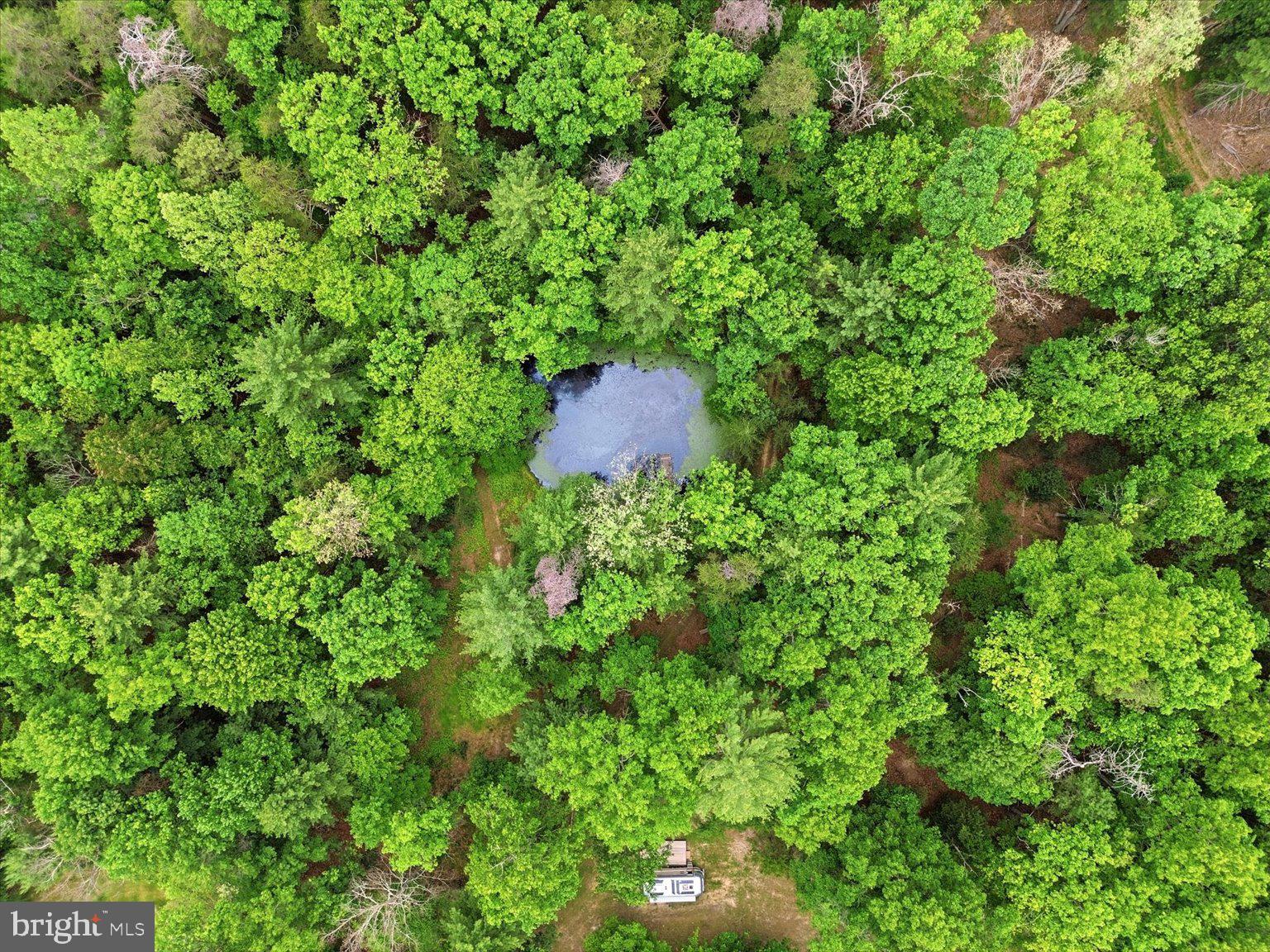 14636 Turner Road Fulks Run, VA 22830 - Photo 78 of 87 Hidden Oasis in Lush Greenery