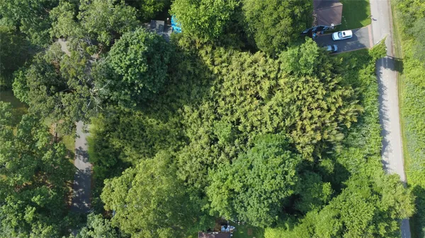a view of a garden with plants
