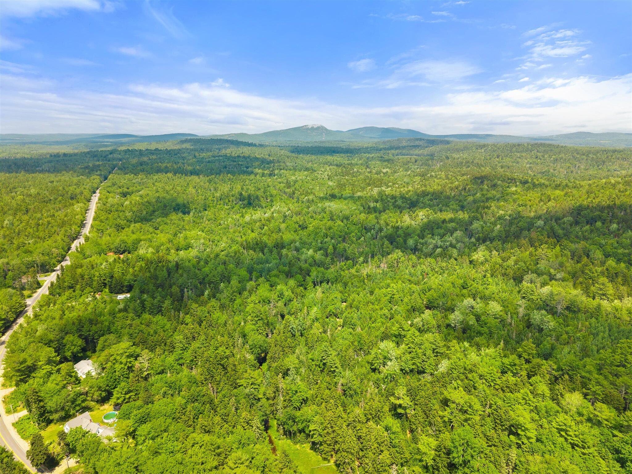 0 Catamount Road Sullivan, ME 04664 - Photo 8 of 23 08-Bert Gray Rd
