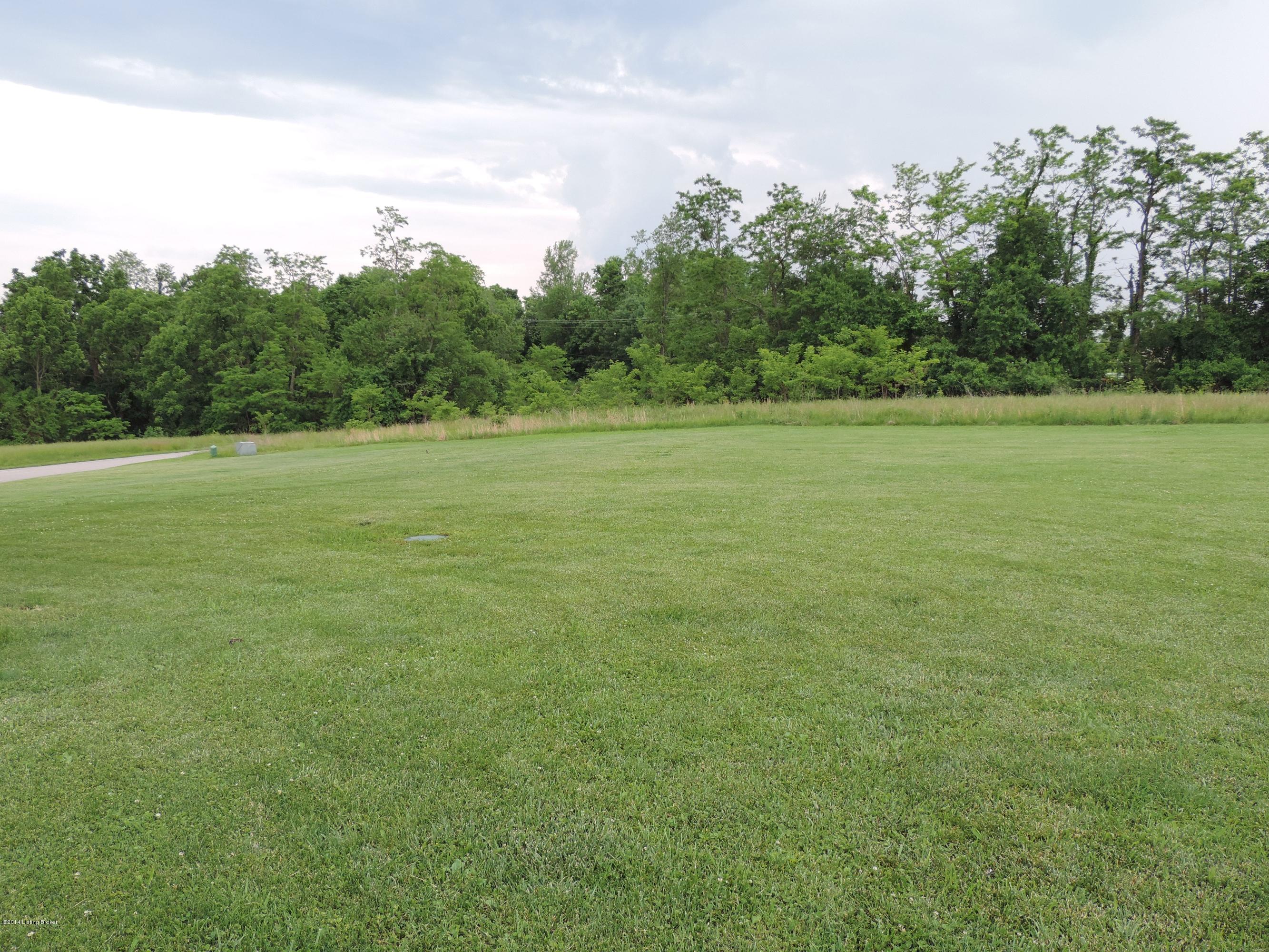 102 Jericho Ridge Court Smithfield, KY 40068 - Photo 23 of 27 A view of the back yard. Owner stated he goes beyond his property line.