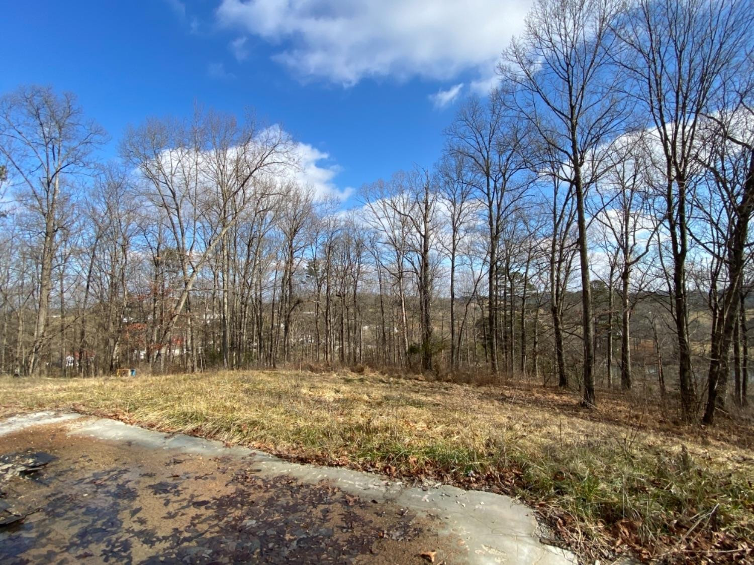1756 Somerset Road London, KY 40741 - Photo 4 of 6 Photo 4