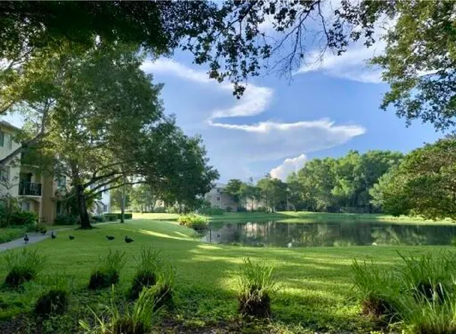 a view of a lake with a yard