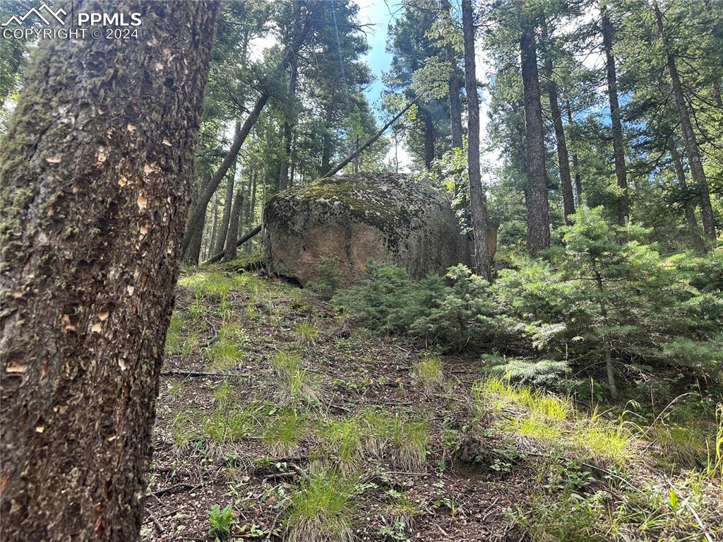 272 Fern Valley Road Manitou Springs, CO 80829 - Photo 11 of 21 a view of a garden