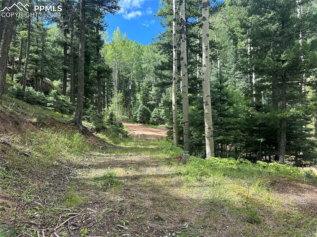 272 Fern Valley Road Manitou Springs, CO 80829 - Photo 14 of 21 a view of outdoor space and yard