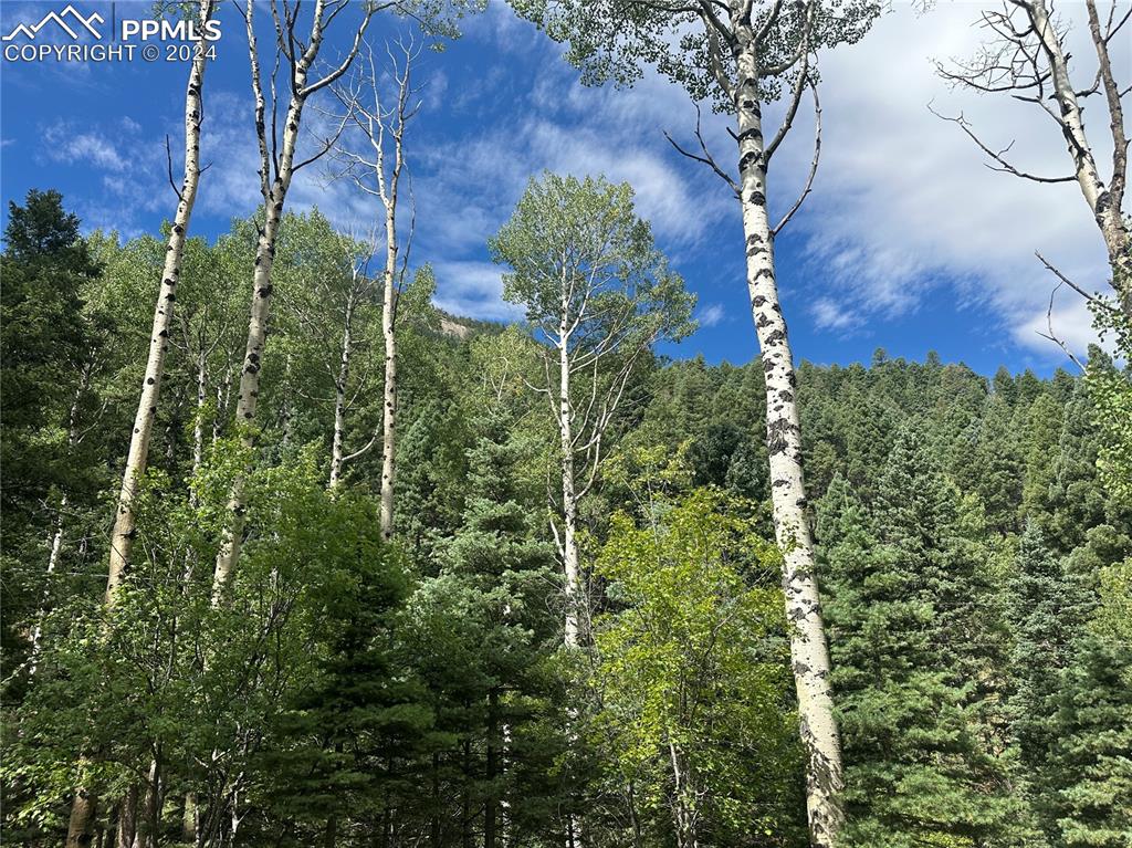 272 Fern Valley Road Manitou Springs, CO 80829 - Photo 2 of 21 a view of a yard