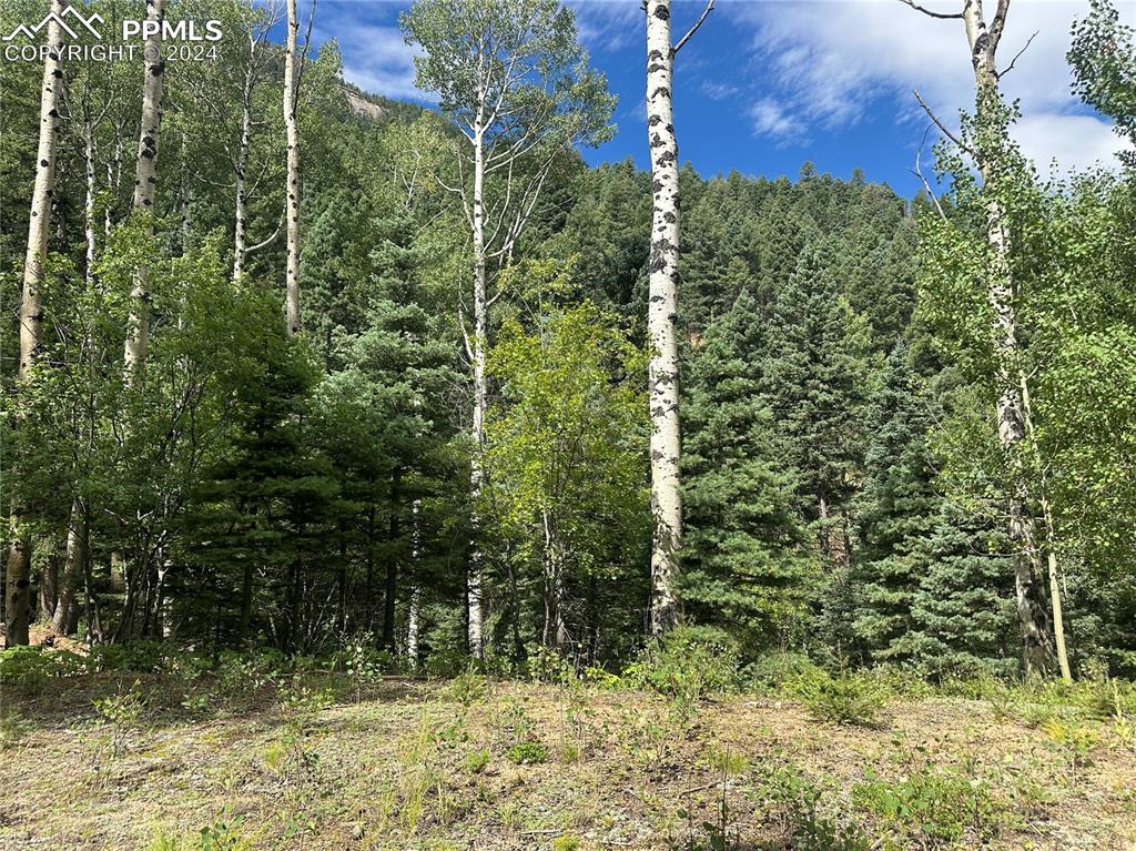 272 Fern Valley Road Manitou Springs, CO 80829 - Photo 4 of 21 a view of outdoor space and garden