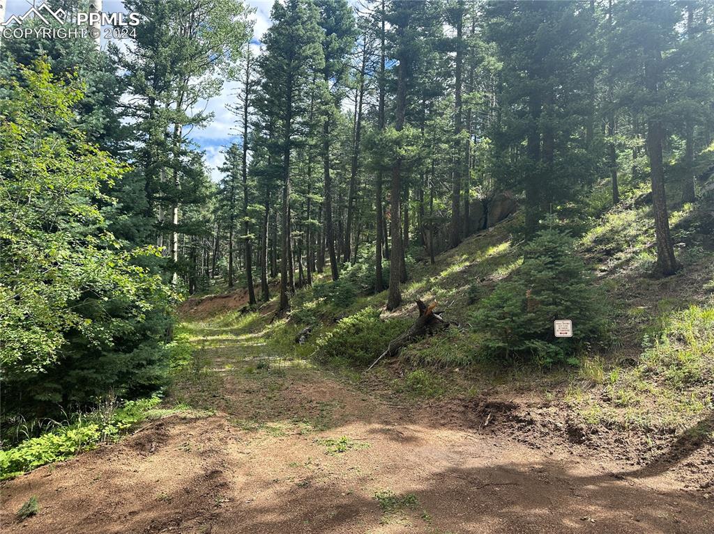 272 Fern Valley Road Manitou Springs, CO 80829 - Photo 5 of 21 a view of a forest with trees