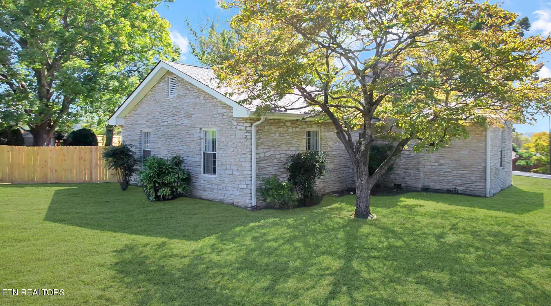 351 Country Club Road La Follette, TN 37766 - Photo 5 of 60 a view of a tree in front of a house with a yard