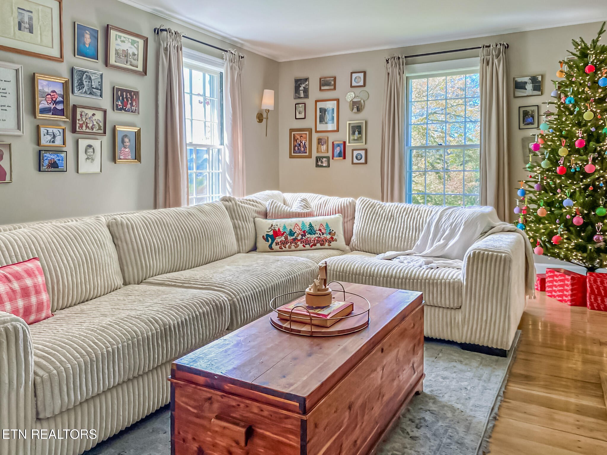 351 Country Club Road La Follette, TN 37766 - Photo 10 of 60 a living room with furniture and a potted plant