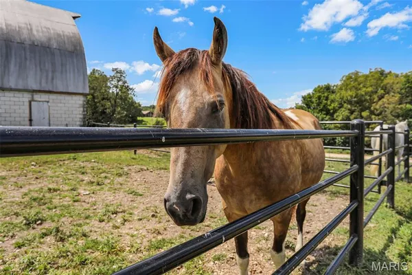 $770,000 | 4444 Horstman Road, New Haven, MO 63068