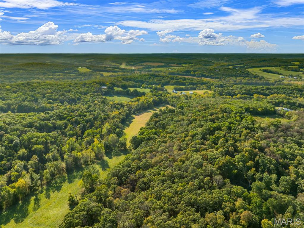 4444 Horstman Road New Haven, MO 63068 - Photo 58 of 63