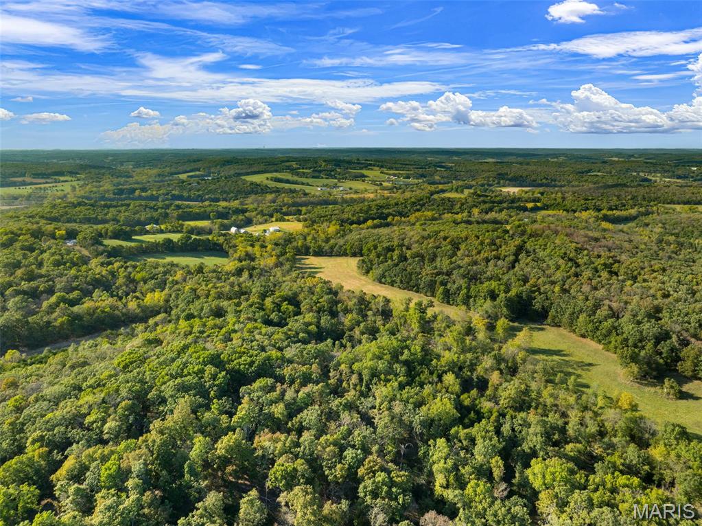 4444 Horstman Road New Haven, MO 63068 - Photo 60 of 63