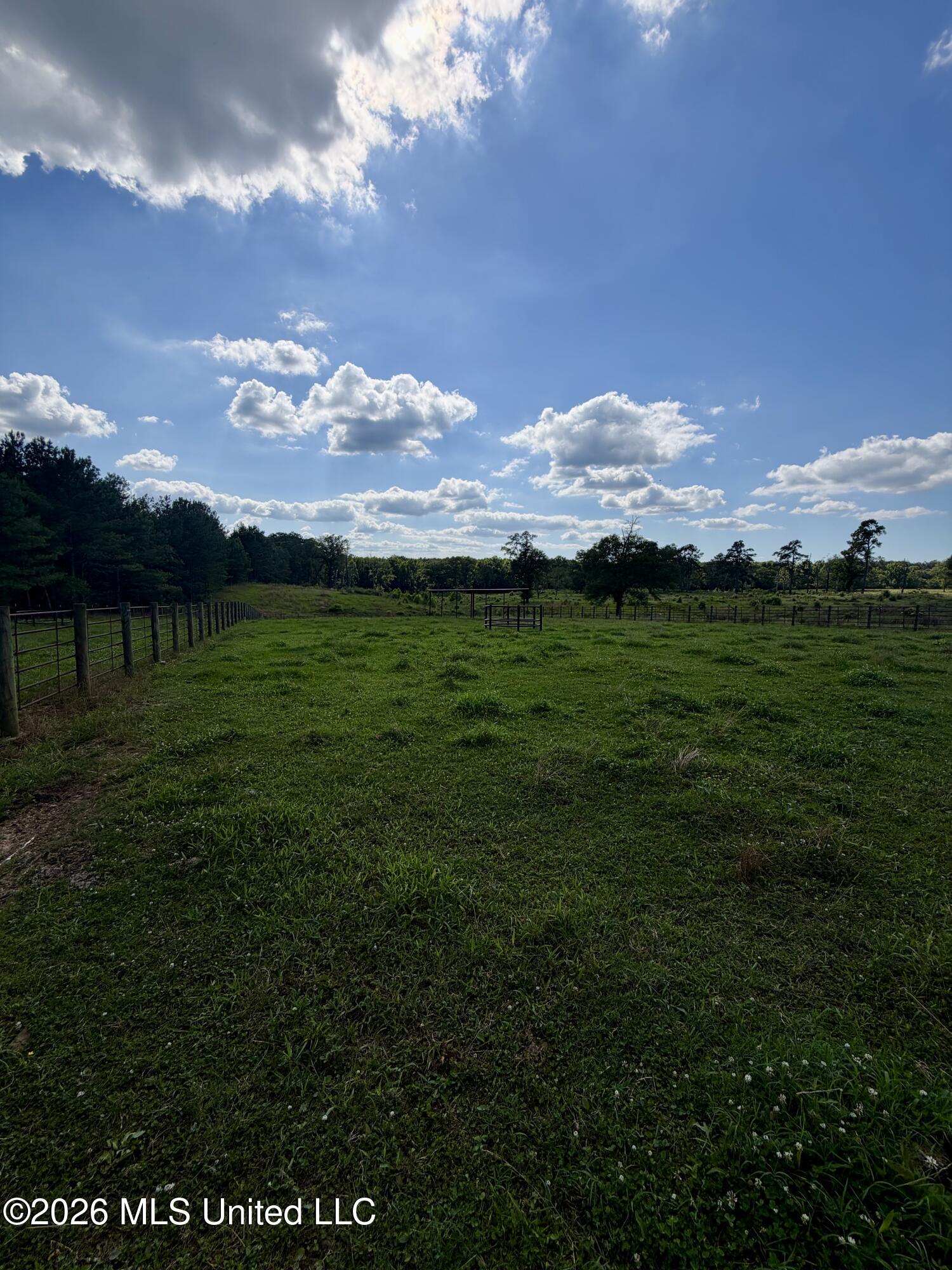 1071 Williams Road Wesson, MS 39191 - Photo 10 of 48 IMG_2789