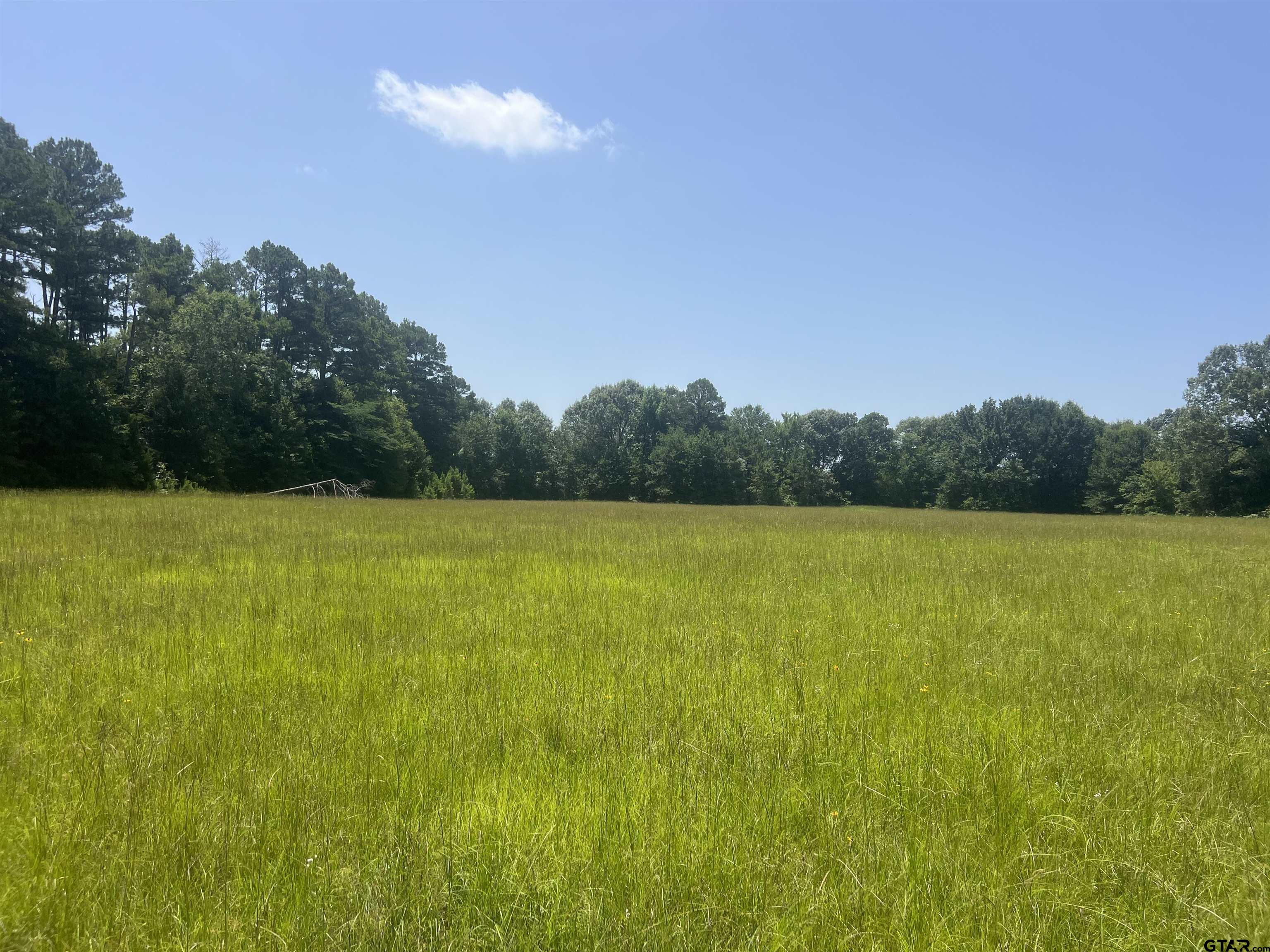 44400-2 Powderly Tx 75473 Powderly, TX 75473 - Photo 4 of 7