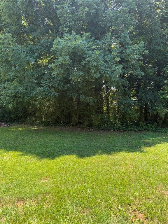 4011 Wintersweet Drive Decatur, GA 30034 - Photo 9 of 69