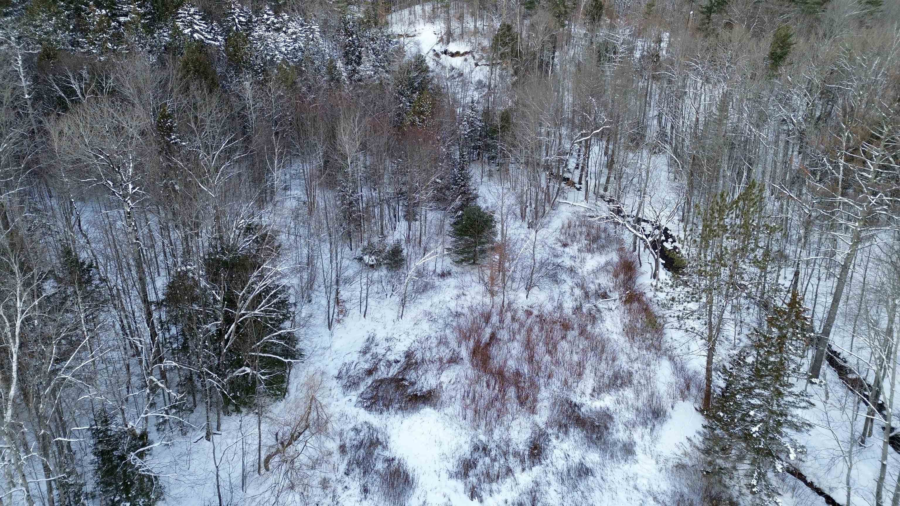 142 Brooks Road Ludlow, VT 05149 - Photo 14 of 21